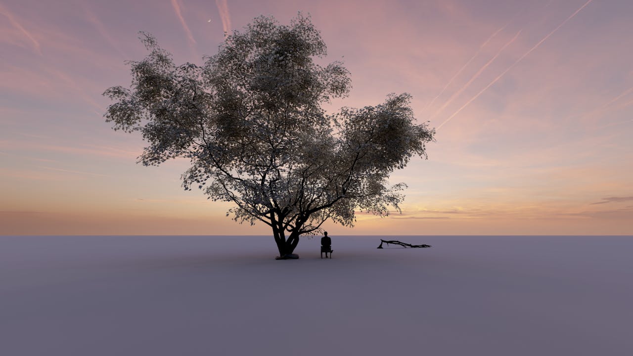 A lone person sits under a tree at sunset, evoking tranquility and reflection.